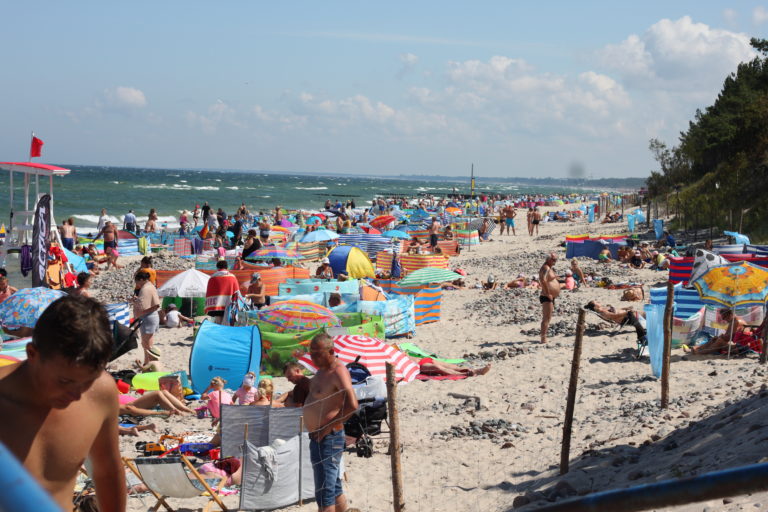 IMG_0529